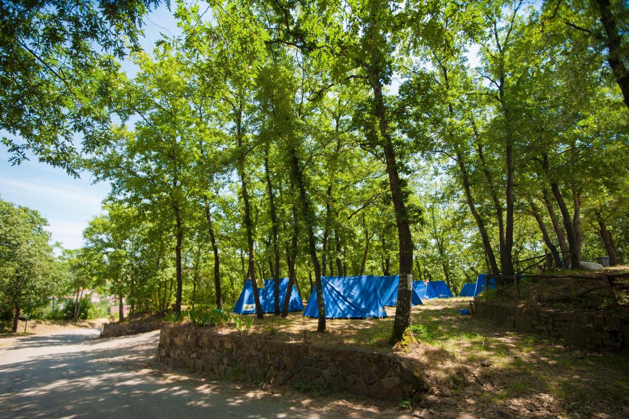 Hu Firenze Certosa Camping In Town Impruneta Εξωτερικό φωτογραφία